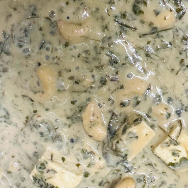 Paneer Korma